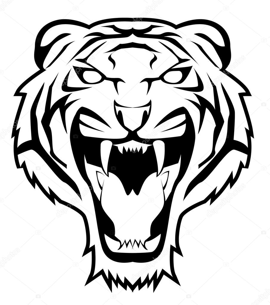 white tiger drawings