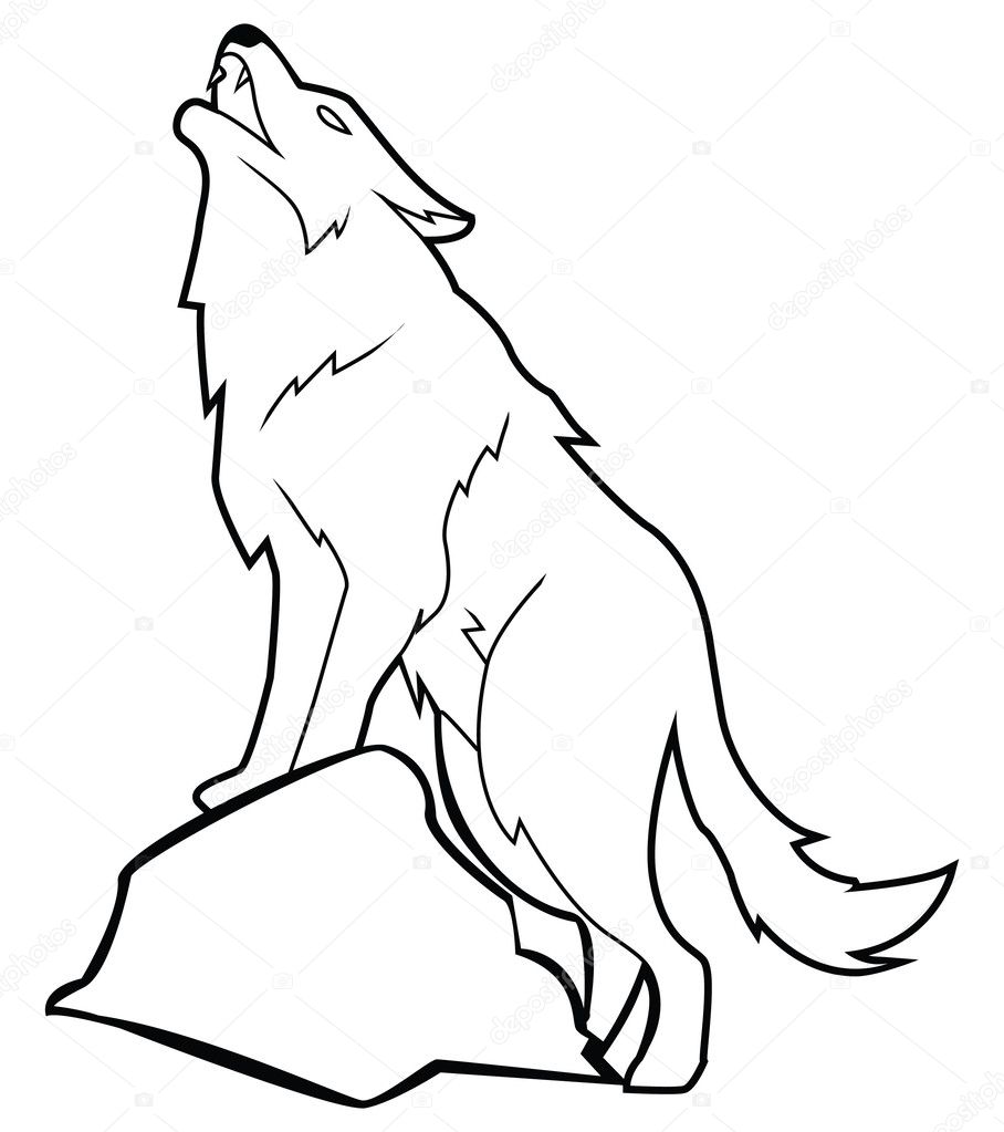 Vector illustration of wolf