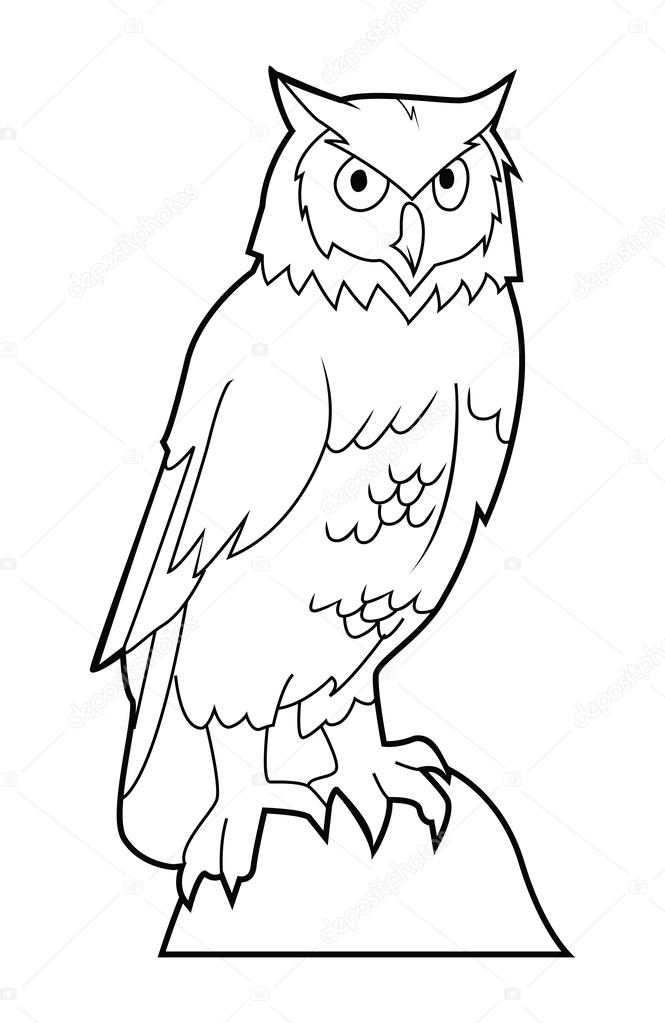 Vector illustration of owl