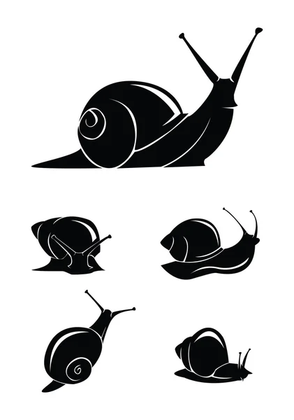Vector illustration of snail silhoutte set — Stock Vector