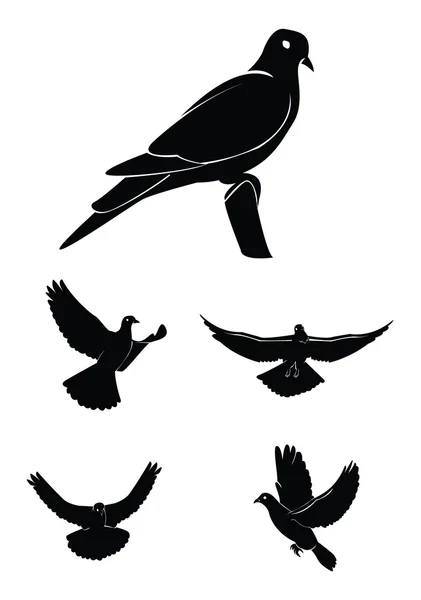 Ilustración vectorial del conjunto de palomas — Archivo Imágenes Vectoriales