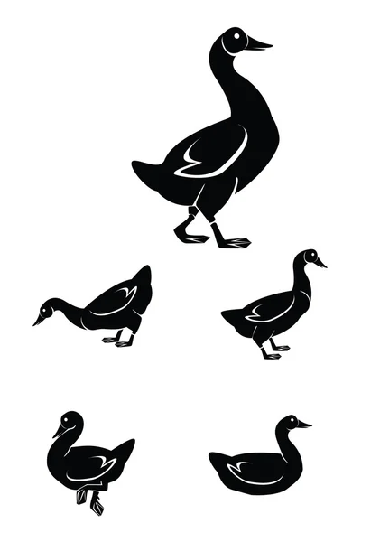 Vector illustration of goose set — Stock vektor