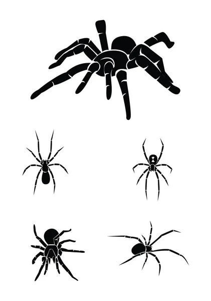 Ilustração vetorial do conjunto de aranhas — Vetor de Stock