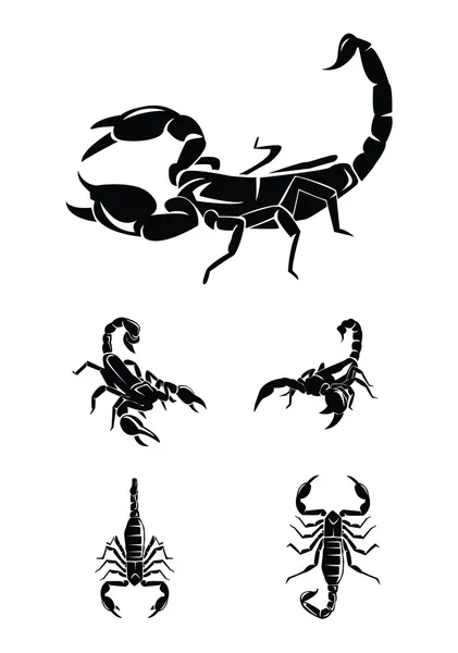 Vector illustration of Scorpion Collection Set Royalty Free Stock Illustrations