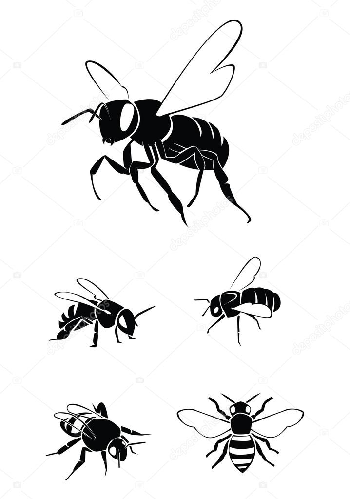 Vector illustration of bee Collection Set