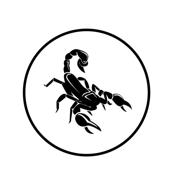 Illustration des Skorpions — Stockvektor