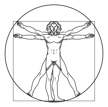 Vector illustration of vitruvian man clipart