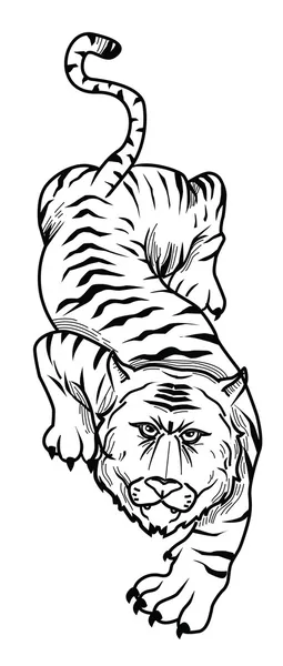 Illustration av tiger — Stock vektor