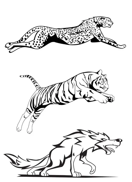 Ilustración de guepardo, tigre y lobo — Vector de stock