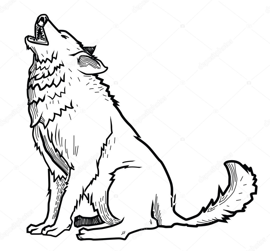 Illustration of wolf