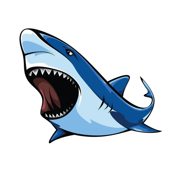 Requin — Image vectorielle