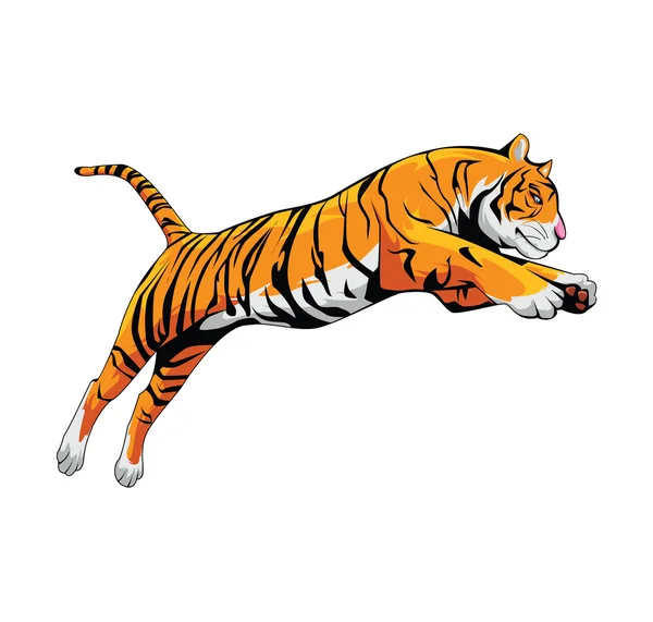 Tiger — Stock Vector