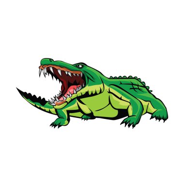 Crocodile vector Crocodile vector