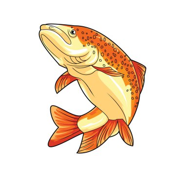 somon balığı