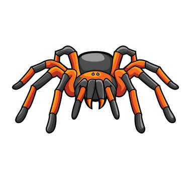 Tarantula
