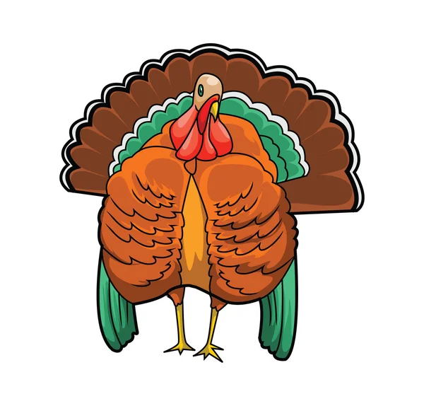 Turkey bird — Stock Vector