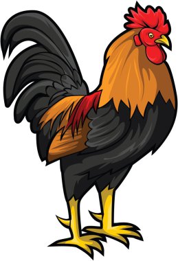 Rooster clipart