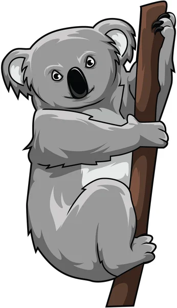 Koala — Stockový vektor