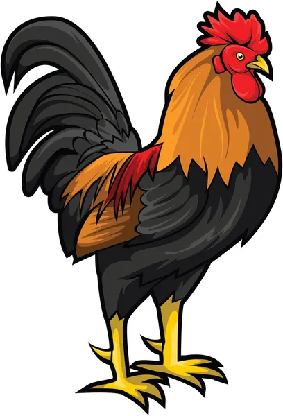 Coq — Image vectorielle