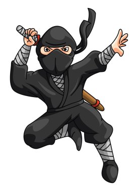 Ninja