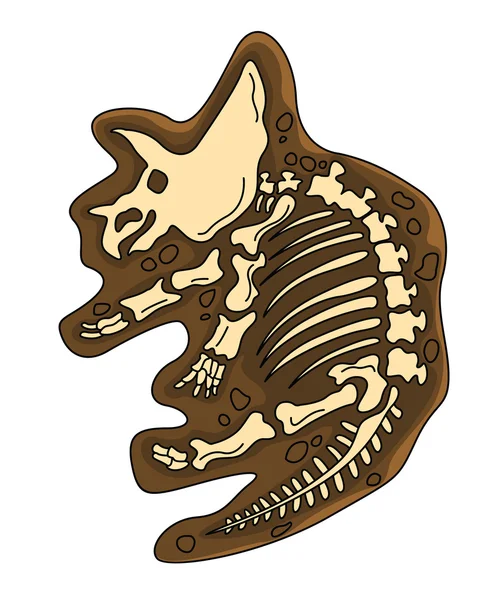 Triceratop Fosil — Vetor de Stock