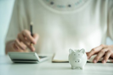 Tanınmayan Asyalı genç kadın gelir ve para tasarruflarını gözden geçiriyor. Arka planda muhasebe ile uğraşan bir kızla birlikte masadaki domuzcuğu kurtaran bir maket..