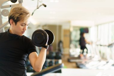 Aktif Asyalı sporcu spor salonunda ağırlık egzersizi yapıyor. Bir dambılı kaldırarak ağırlık egzersizi yapıyor. Adam egzersiz bankında oturuyor ve dambılları kaldırıyor. Sporcu omuz ve silah egzersizi yapıyor..