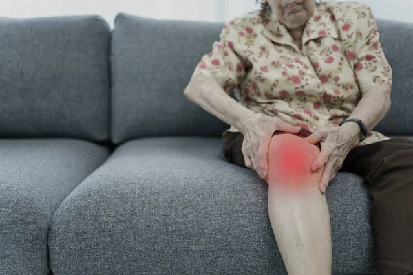 Asian elder woman having a critical health problem at knee and bone joint, woman touching or holding at knee. Elder woman getting hurt and injured at her leg.