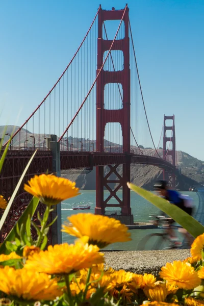 Altın kapı köprüsü