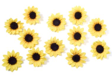 Ayçiçeği Arkaplanı