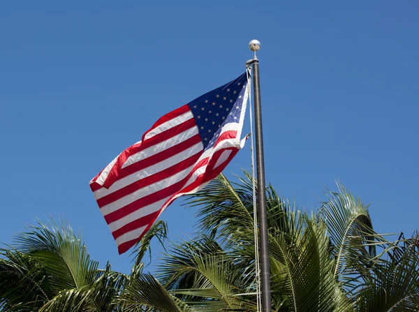 アメリカのスター ・ パーム背景のストライプ旗 — ストック写真