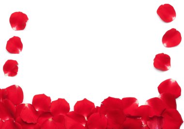 kırmızı gül yaprakları kenarlık