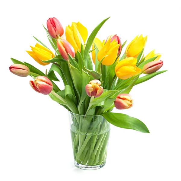 Bando de tulipas vermelhas e amarelas — Fotografia de Stock