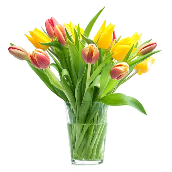 Bos van rode en gele tulpen — Stockfoto