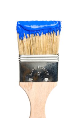 mavi boya ile boya fırçası