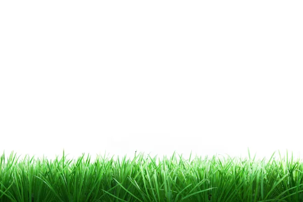Bordo d'erba — Foto Stock