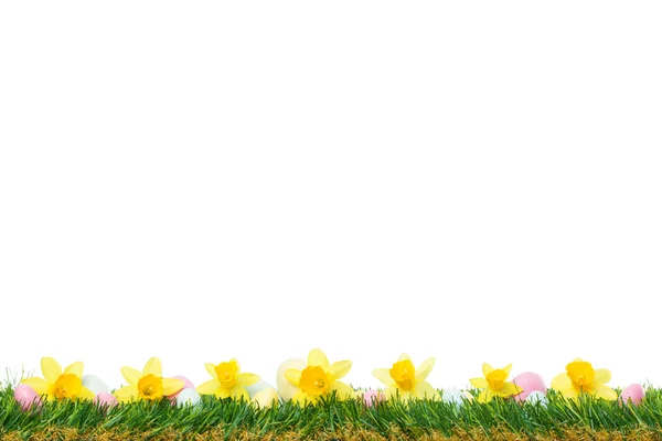 Нарциссы и пасхальные яйца на траве — стоковое фото