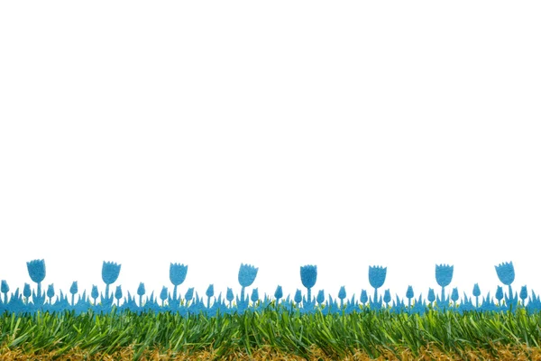 春季边界-蓝色毡郁金香在草丛中 — 图库照片