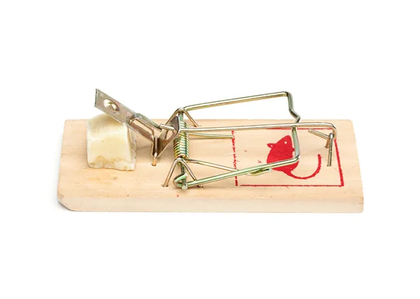 Mouse Trap on White Background — Stock Photo, Image