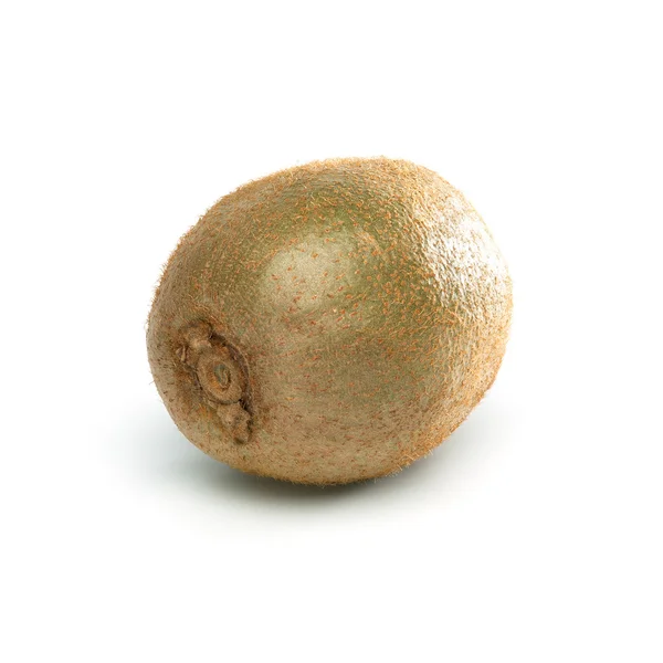 Single Kiwi on White Background — Stock Photo, Image