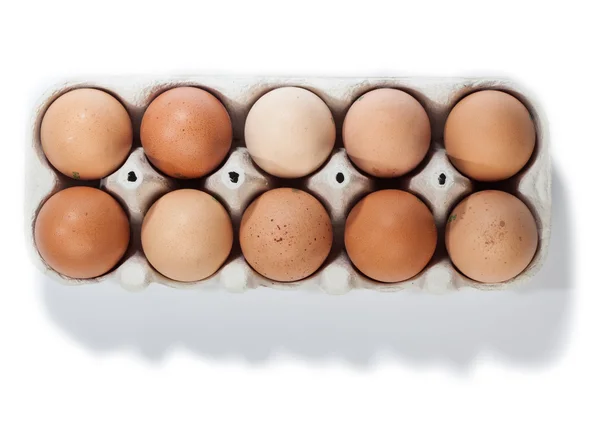 Box of ten brown eggs, isolated — Stock Photo, Image