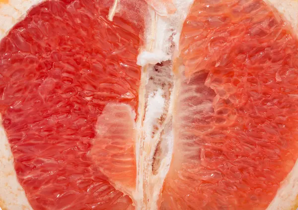 Grapefruit in Nahaufnahme Makro — Stockfoto