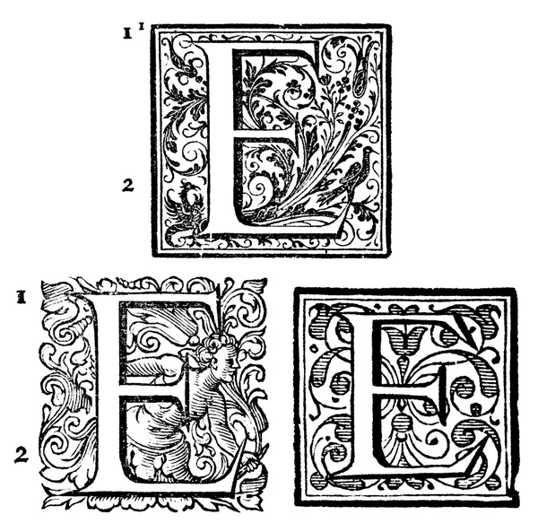 Initials - Ornamental Capitals - from an antique bible - E — Stock Photo, Image