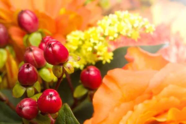 Autumnal Flower bouquet, Close-up Background — Stock Photo, Image