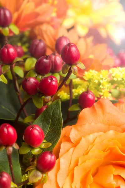 Close-up Background of Autumnal Flower bouquet — Stock Photo, Image
