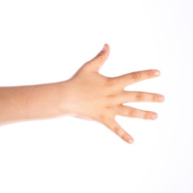 Beş numara, çocuk jesti. Stüdyoda beyaz arka planda izole bir okul çocuğunun eli..