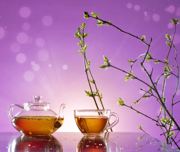 Весенний чай — стоковое фото