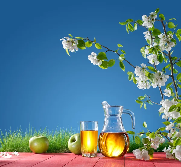 Яблочный сок на фоне природы — стоковое фото