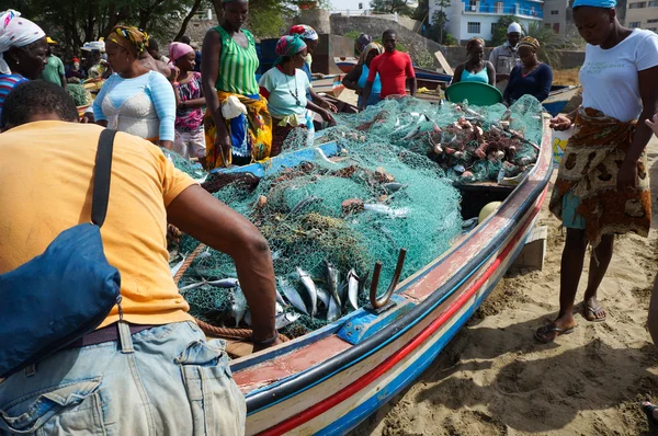 Bazar di pesce fresco — Foto Stock