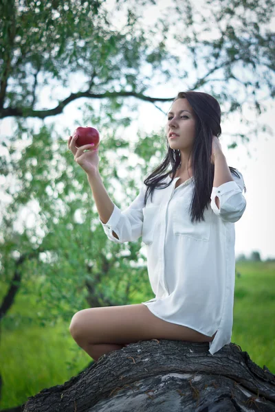 Beautiful girl near the tree — Stock Photo, Image